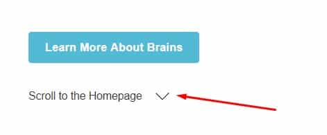 Mailchimp scroll to homepage