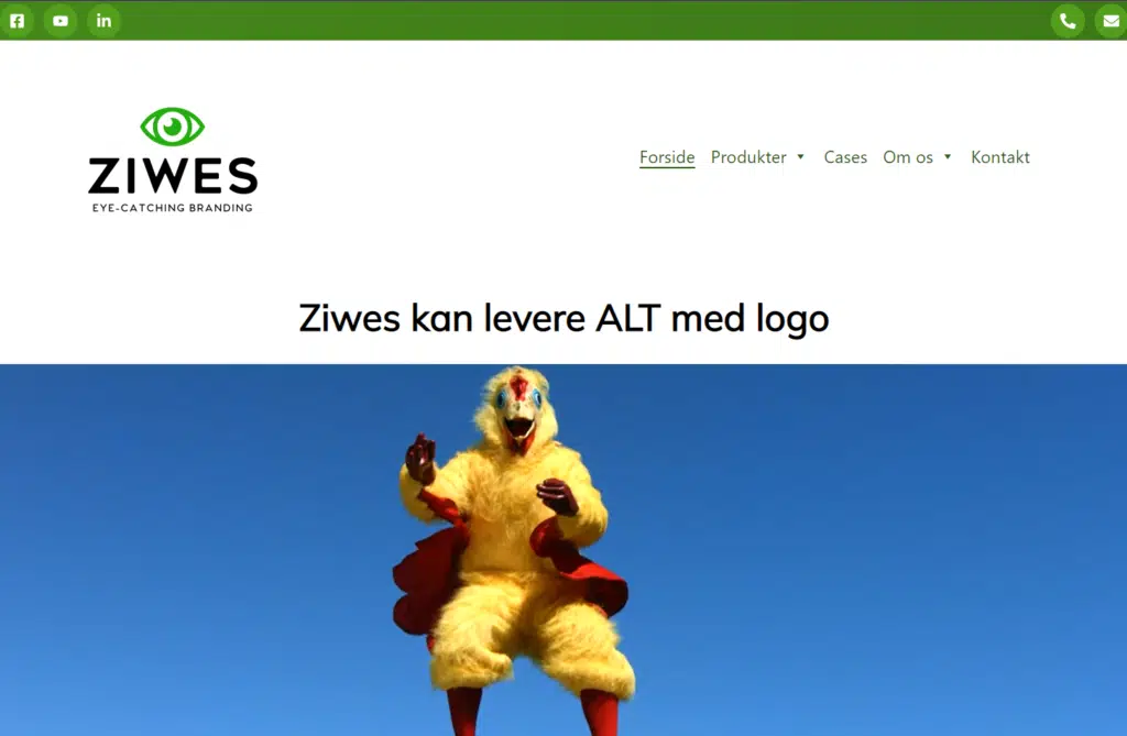 screenshot forsiden ziwes.dk